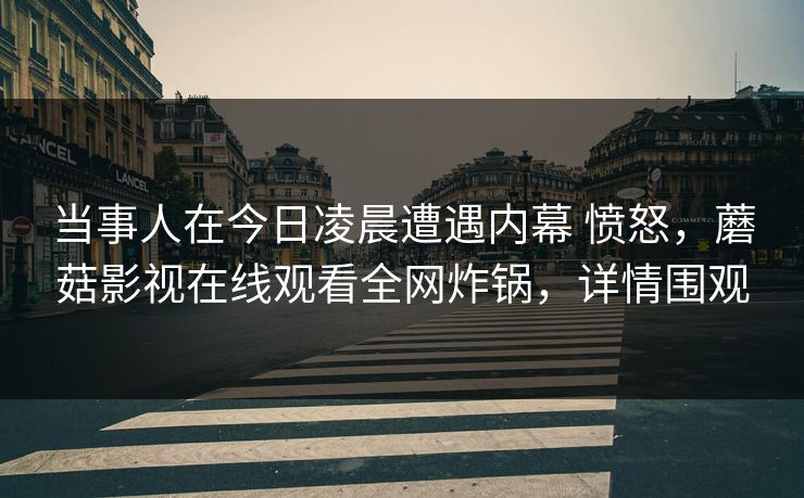 当事人在今日凌晨遭遇内幕 愤怒，蘑菇影视在线观看全网炸锅，详情围观