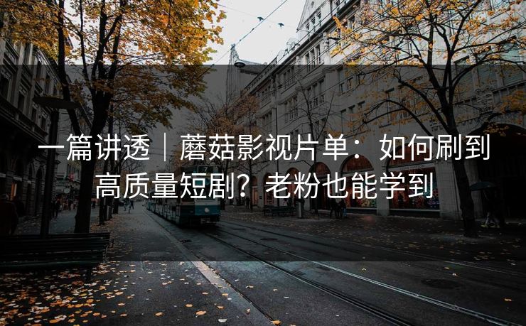 一篇讲透｜蘑菇影视片单：如何刷到高质量短剧？老粉也能学到