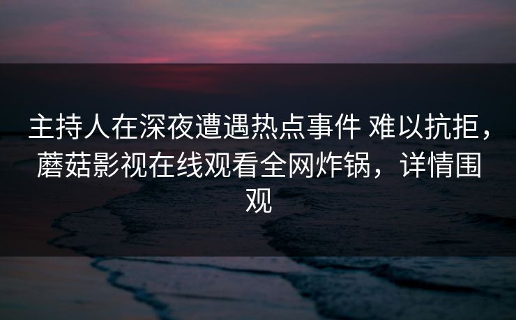 主持人在深夜遭遇热点事件 难以抗拒，蘑菇影视在线观看全网炸锅，详情围观